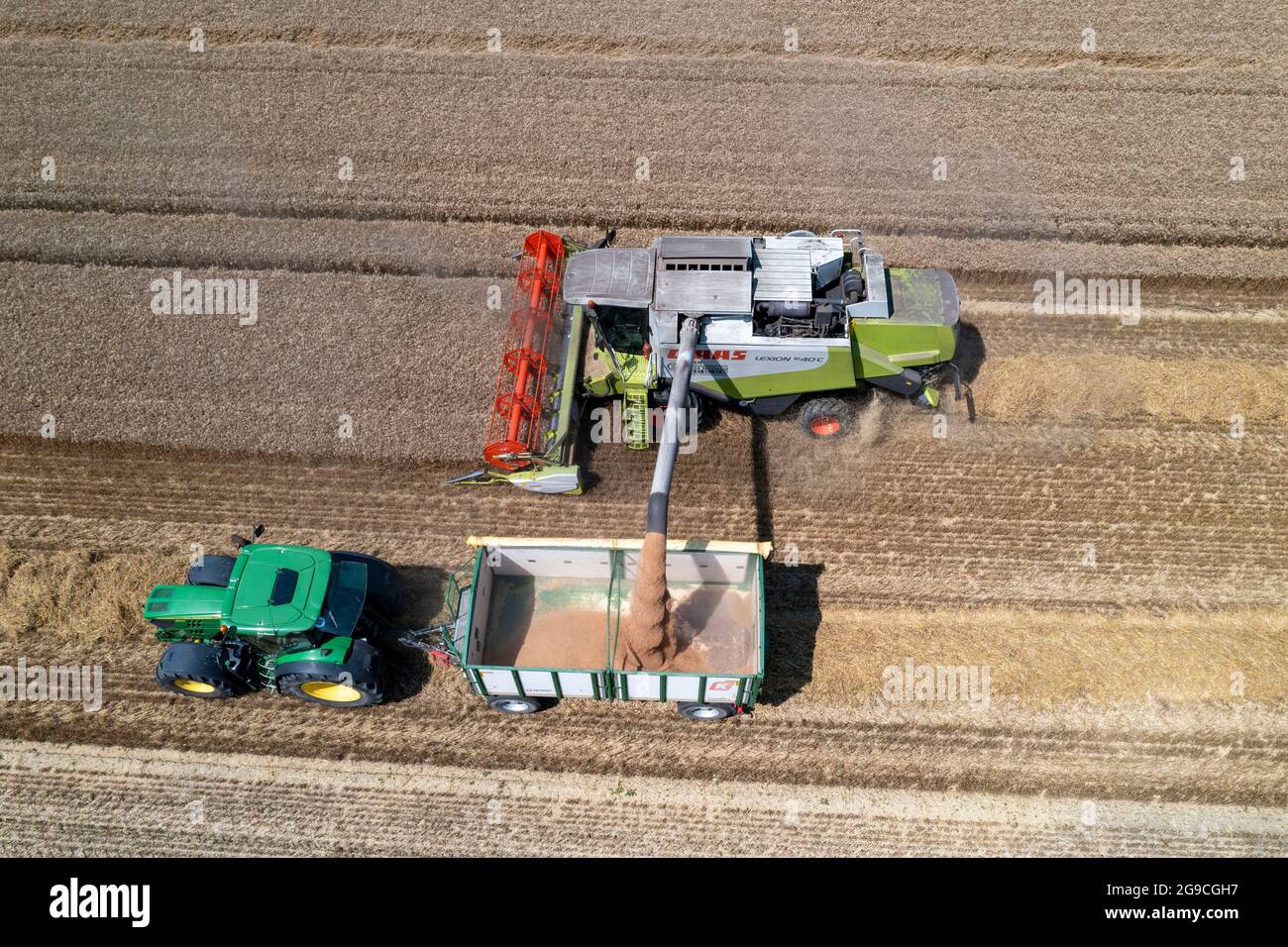 Landwirtschaft, Getreideernte, Weizen, Mähdrescherernte in einem Weizenfeld, Korntank wird in einen Anhänger entleert, bei NiederkrŸchten, NRW, G Stockfoto