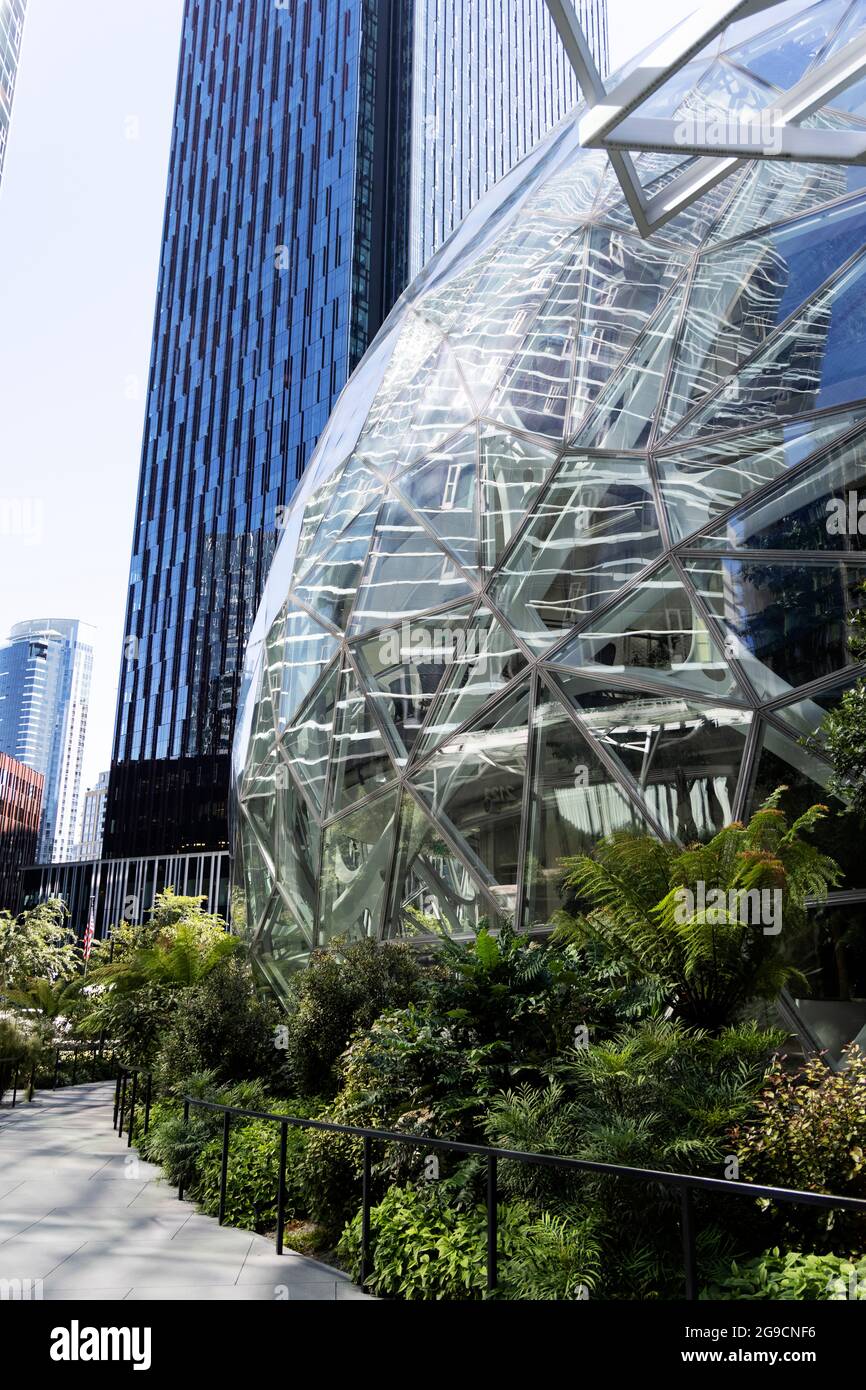 Die Amazon Spheres Bürogebäude an der 7th Avenue in der Innenstadt von Seattle, Washington, USA. Stockfoto