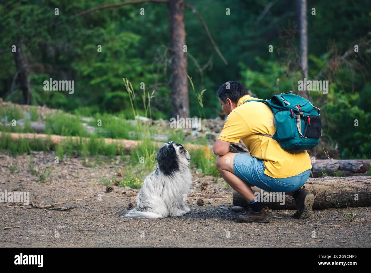 Wandern mit einem Hund in einem Nadelwald. Seitenansicht des Menschen und des schönen tibetischen Terrier-Hundes im Wald, die sich gegenseitig in die Augen schauen. Stockfoto