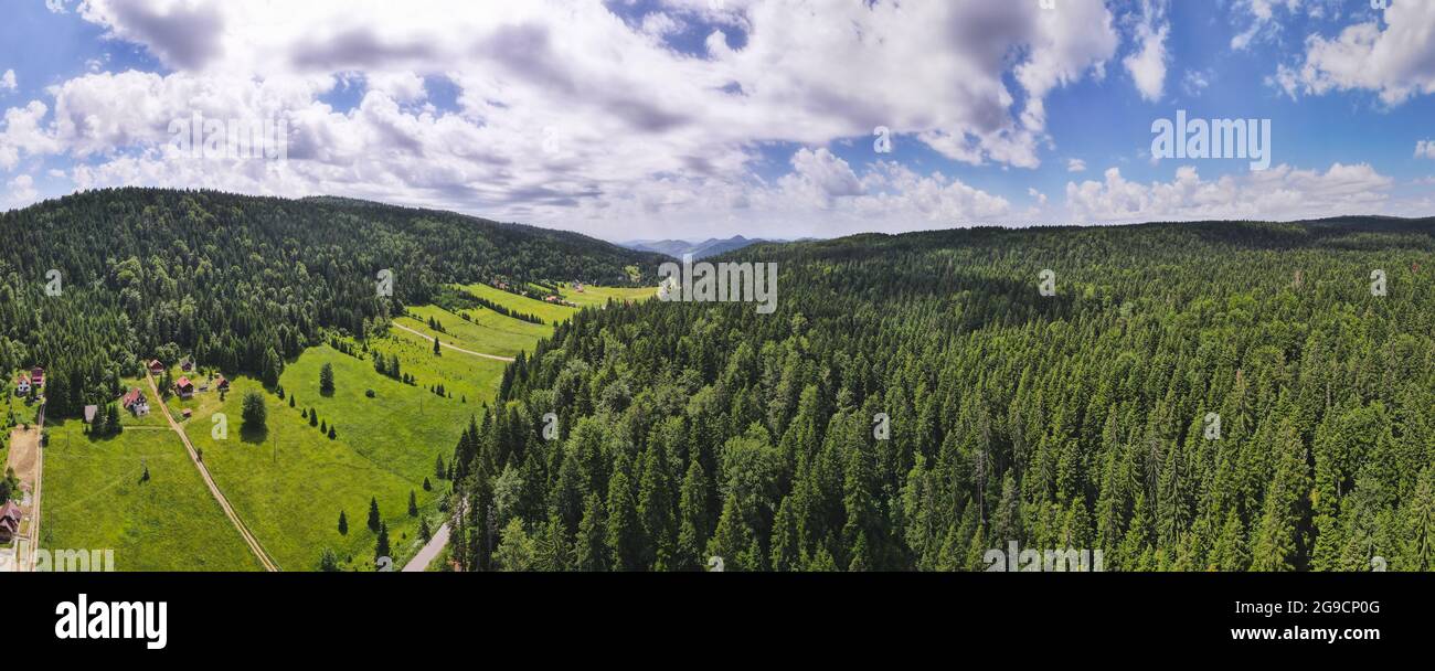 Schönes Luftpanorama des berühmten Mitrovac auf dem Berg Tara, Serbien. Grüne, hügelige Felder und Pinienwald mit Bergen. Nebliger Morgen, Sommer Stockfoto