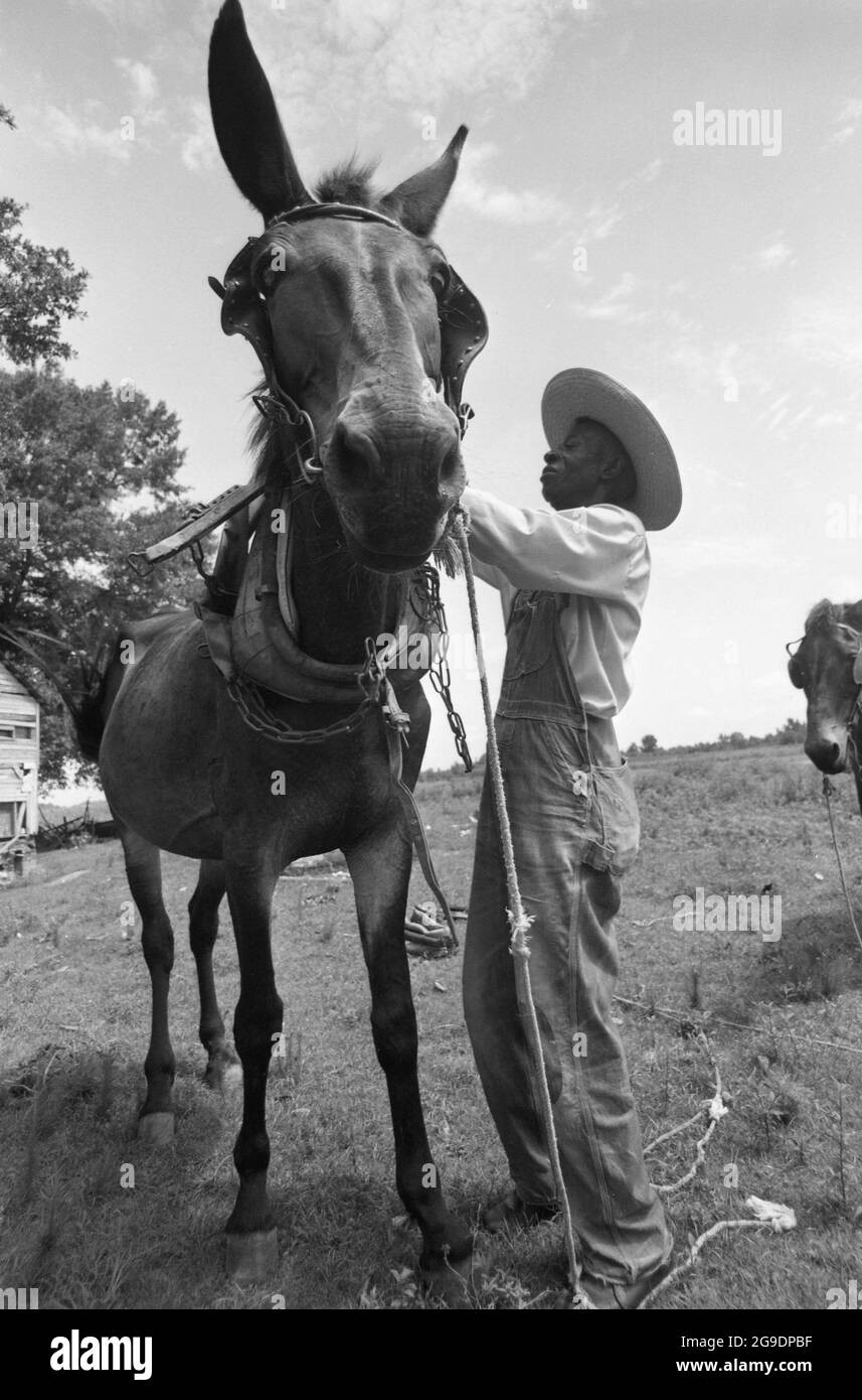 Die Southwest Alabama Farmers Cooperative Association wurde 1967 von Albert Turner als wirtschaftlicher Anstoß gegründet, um schwarzen Südstaatlern den Besitz und die Erhaltung ihres eigenen Landes zu ermöglichen. Dies war eine wichtige, aber weitgehend übersehene Entwicklung der Bürgerrechte im tiefen Süden. Stockfoto