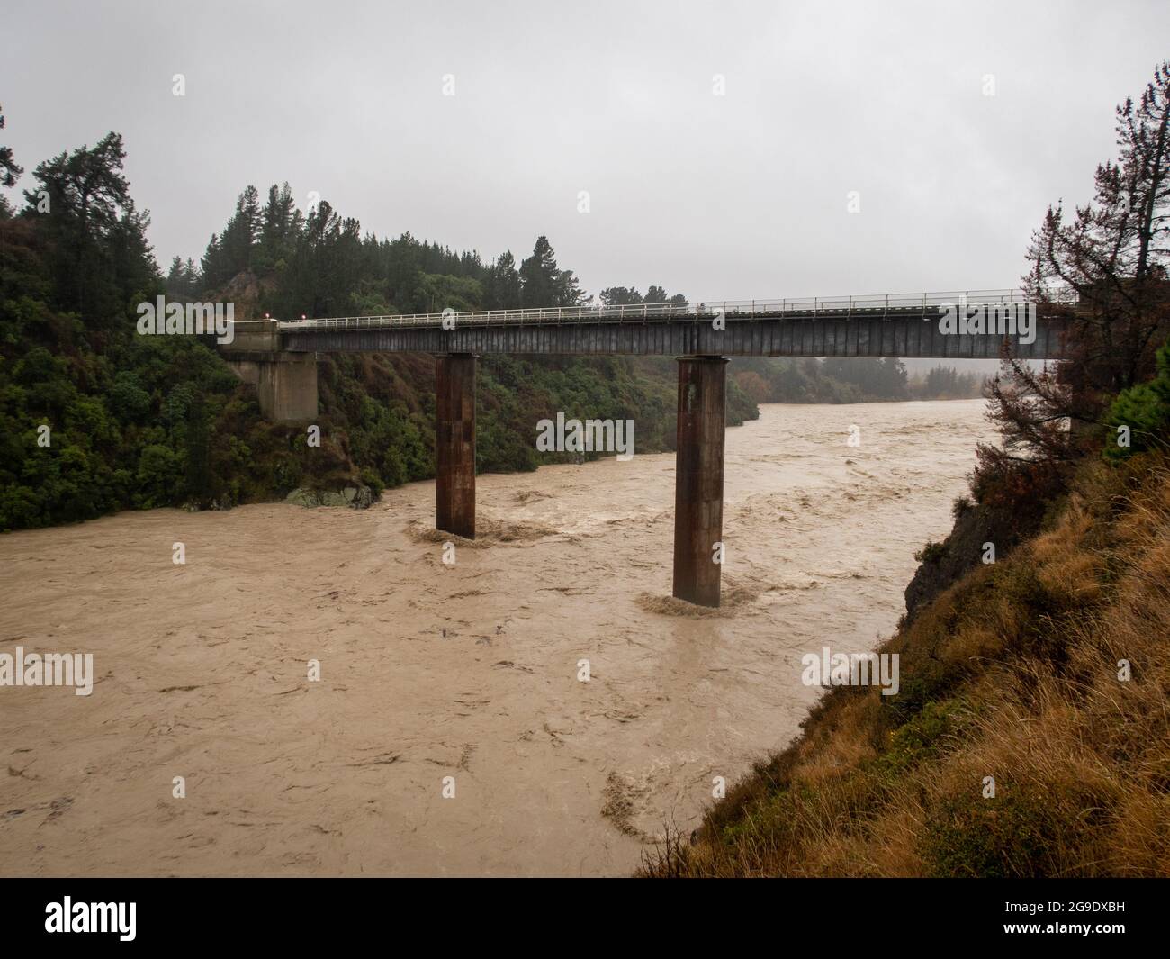 Heftige Regenfälle in den Hauptwässern von Canterbury verursachen eine Überschwemmung des Waimakariri River und der schlammige Strom fließt hoch unter der Waimakariri Gorge Bridge, Stockfoto