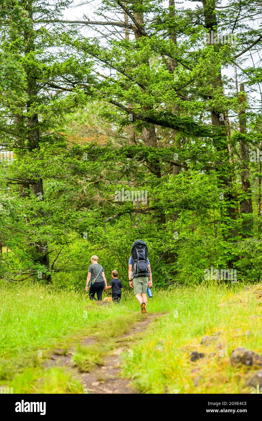 Familie von einer Mutter Vater und zwei Kindern geht schnell auf einem kurvenreichen Waldweg, bevorzugt aktive Erholung in der Natur, um die Gesundheit zu verbessern und Stockfoto