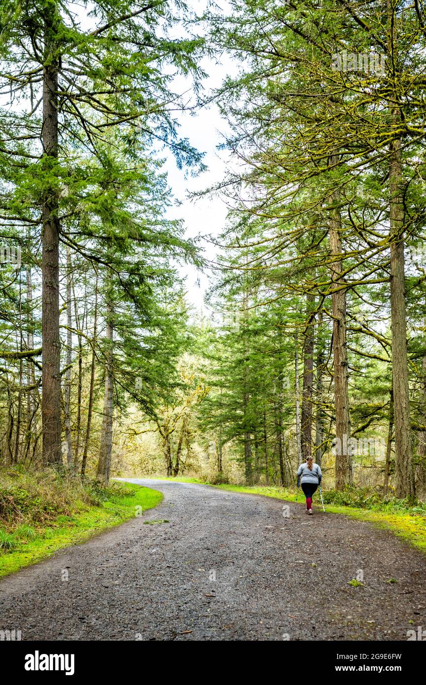 Weibliche Wanderer übergewichtige Reisende schnell entlang einer gewundenen wilden Laubwaldweg, bevorzugt aktive Erholung in der Natur, um die Gesundheit zu verbessern und Stockfoto