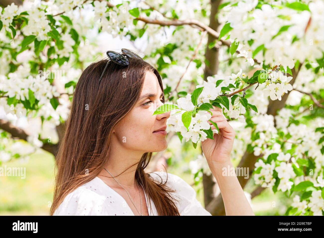 Lächelnd und glücklich posiert das Weibchen in weißen Kleidern. Fröhliche hübsche Frau auf Apfelbaum Hintergrund. Junge kaukasische Frau. Attraktiv und b Stockfoto