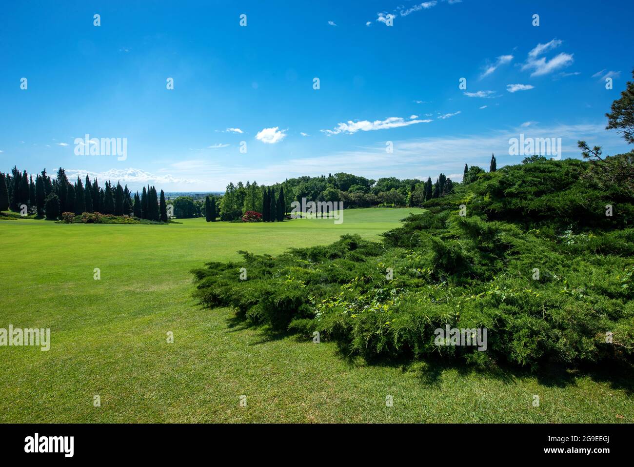 Landschaftsansicht eines großen Gartens mit gepflegtem, üppig grünem Rasen und ornamentalen japanischen Ahornbäumen im Vordergrund und Blick auf Zypressen Stockfoto