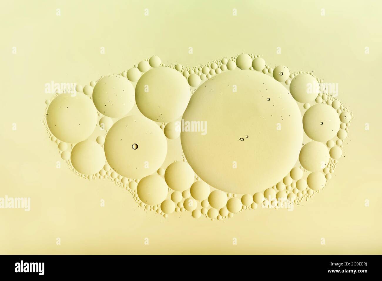 Dekoratives abstraktes Muster einer Gruppe cremefarbener Blasen in verschiedenen Größen in zufälliger Anordnung, zentriert im Panel mit Copyspace Stockfoto