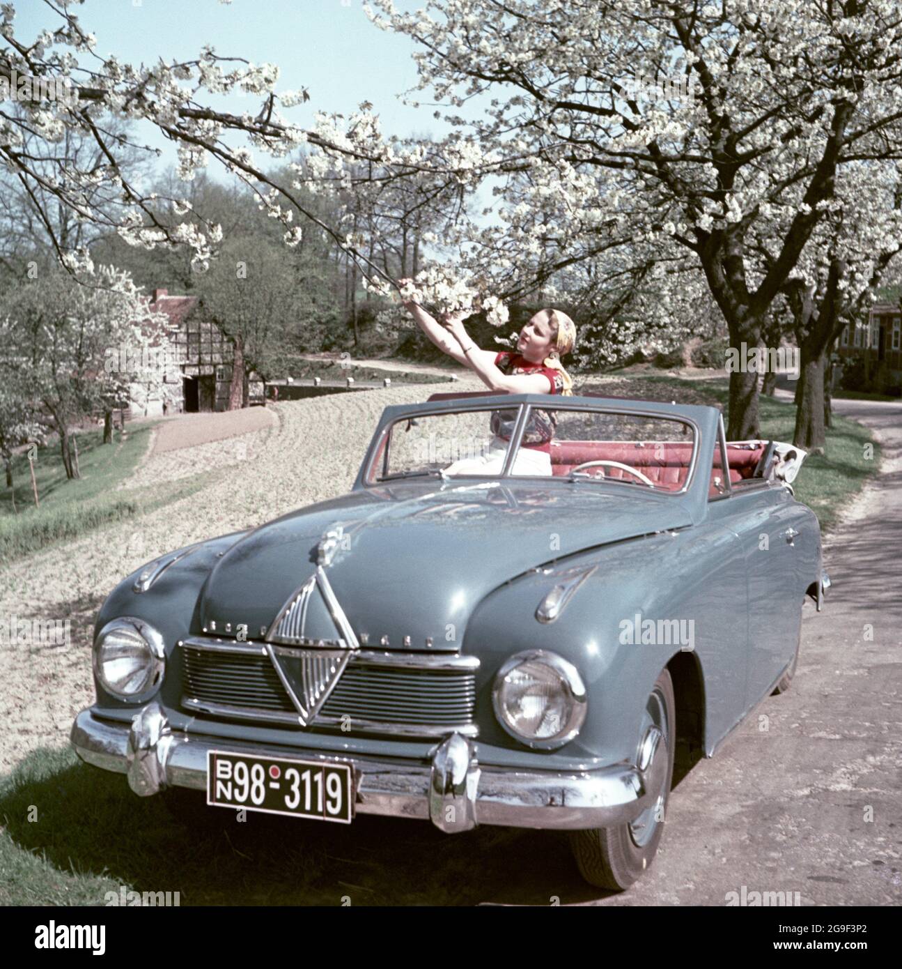 Transport, Auto, Borgward Hansa 1500, 1949-1952,  ZUSÄTZLICHE-RECHTE-FREIGABE-INFO-NICHT-VERFÜGBAR Stockfotografie - Alamy