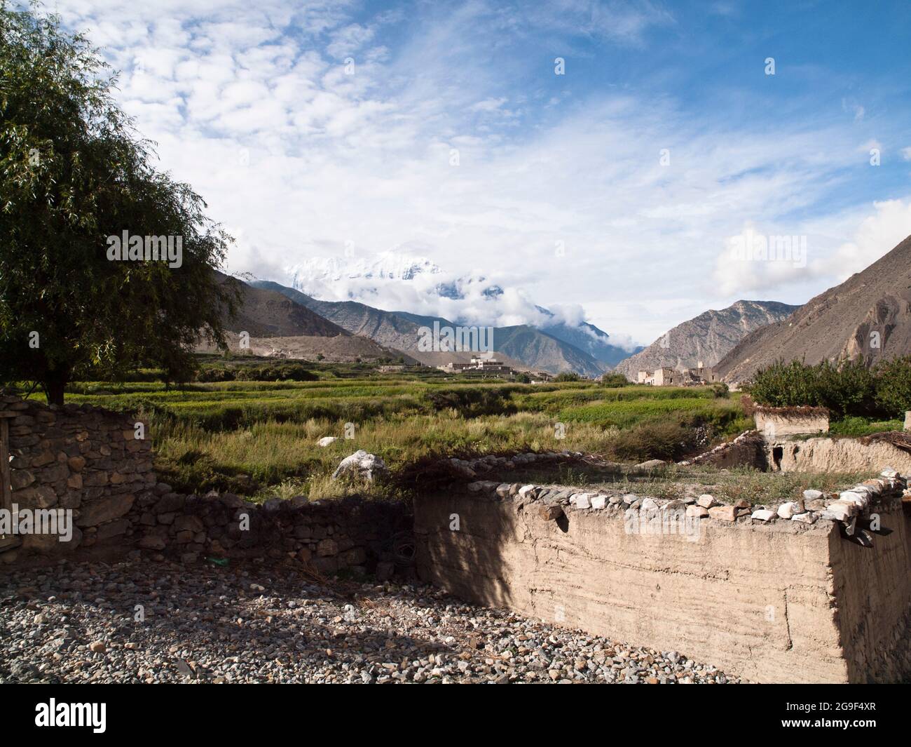 Die Nilgiri Himal über terrassierten Feldern, Kagbeni, Mustang Stockfoto