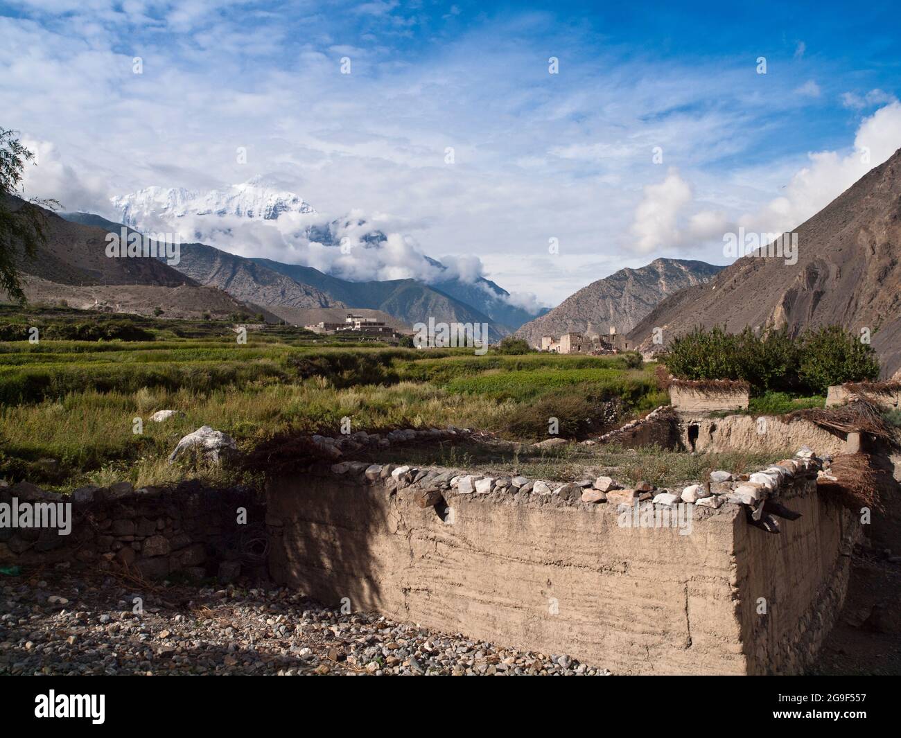 Die Nilgiri Himal über terrassierten Feldern, Kagbeni, Mustang Stockfoto