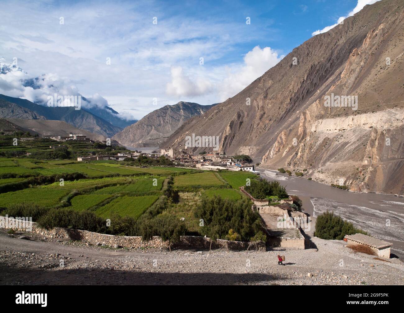Die Nilgiri Himal über terrassierten Feldern, Kagbeni, Mustang Stockfoto