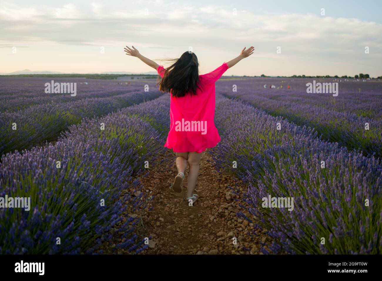 Zurück Porträt von jungen glücklichen und schönen Frau im Sommerkleid genießen Natur läuft frei und verspielt im Freien bei lila Lavendel Blumen Feld in Stockfoto