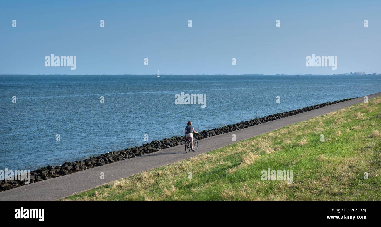 Frau fährt im Sommer Fahrrad auf dem Deich des wattenmeeres auf der niederländischen Insel texel Stockfoto