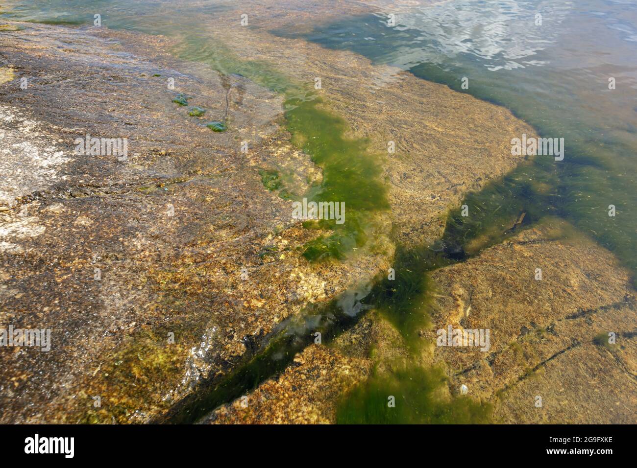 Die felsige Küste der Insel mit den Spuren der Erosion. Seen glazialen Ursprungs. Stockfoto