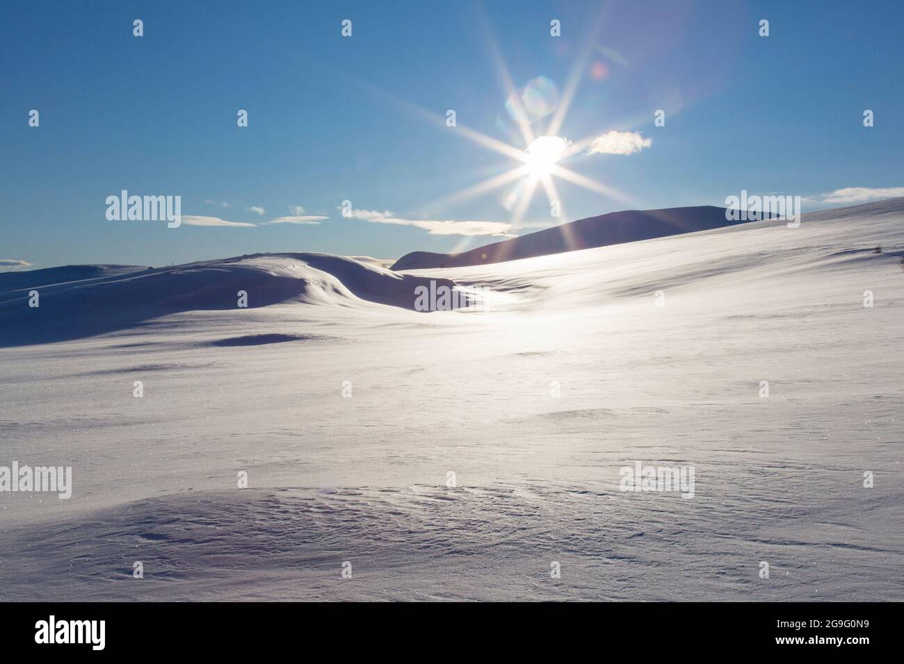 Parco nazionale dovrefjell sunndalsfjella parco nazionale dovrefjell