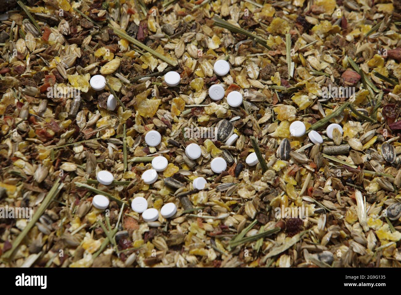 Schuessler Salze, Tabletten auf Pferdefutter. Stockfoto