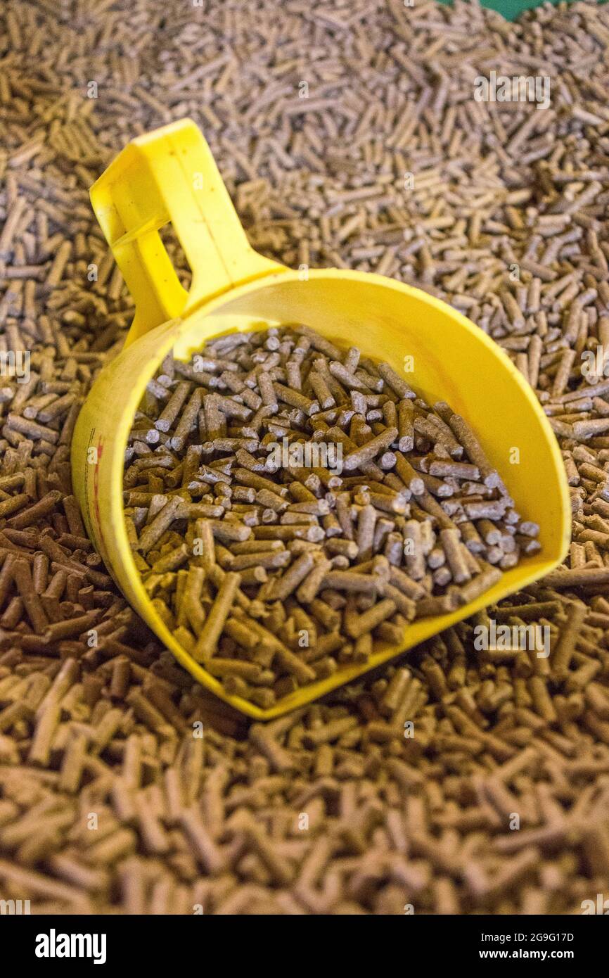 Pelletierte Mischfuttermittel mit Schaufel Stockfoto