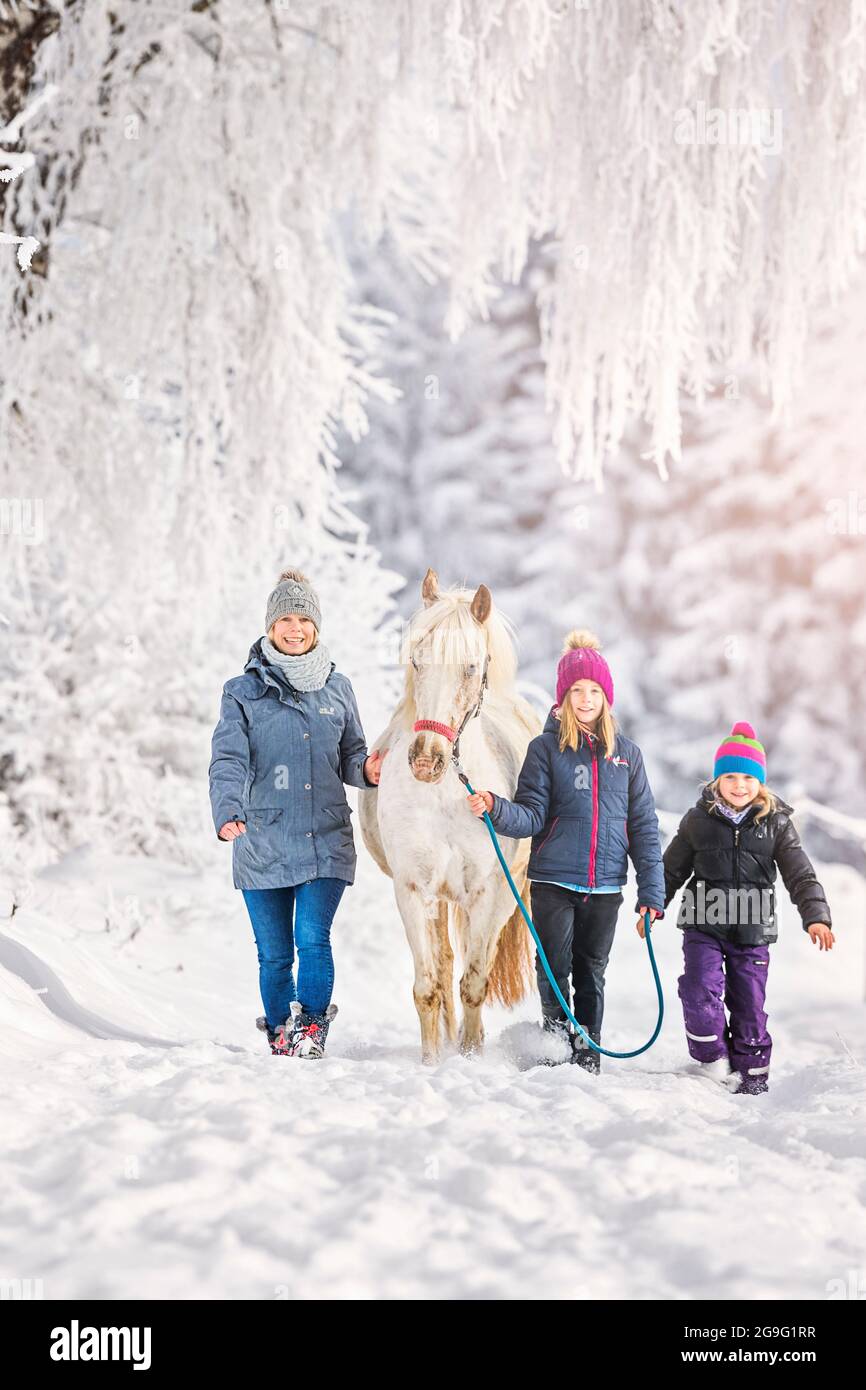 Ara-Appaloosa, Araloosa. Drei Kinder führen ein Pferd im Schnee. Österreich Stockfoto