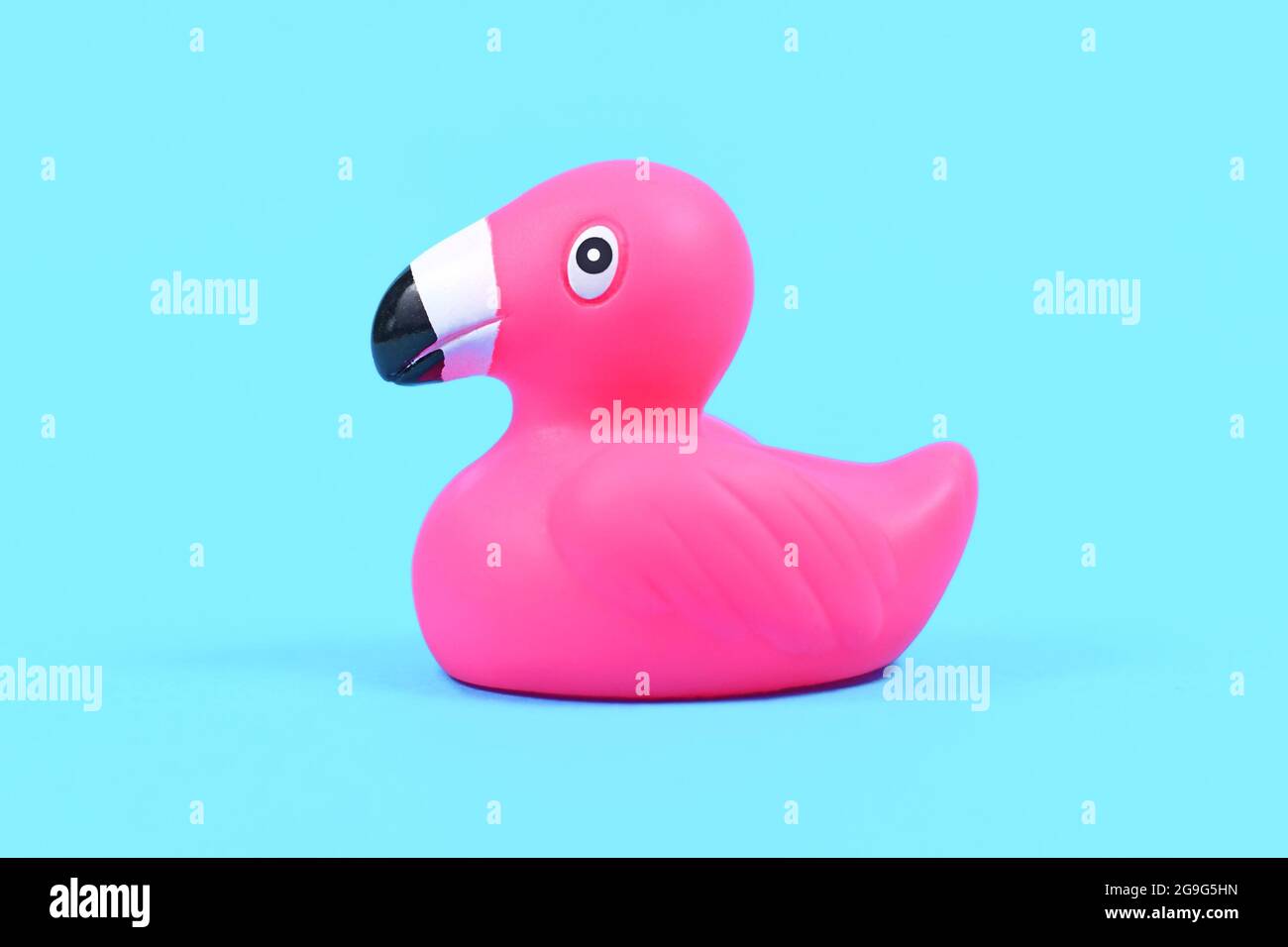 Einzelne rosa Gummi Ente Flamingos auf blauem Hintergrund Stockfoto