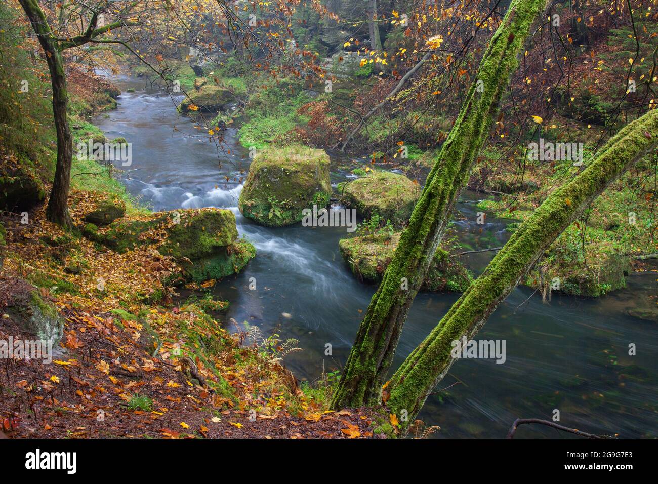 Die Kamnitzschlucht im Herbst, Nationalpark Böhmische Schweiz, Tschechische Republik Stockfoto