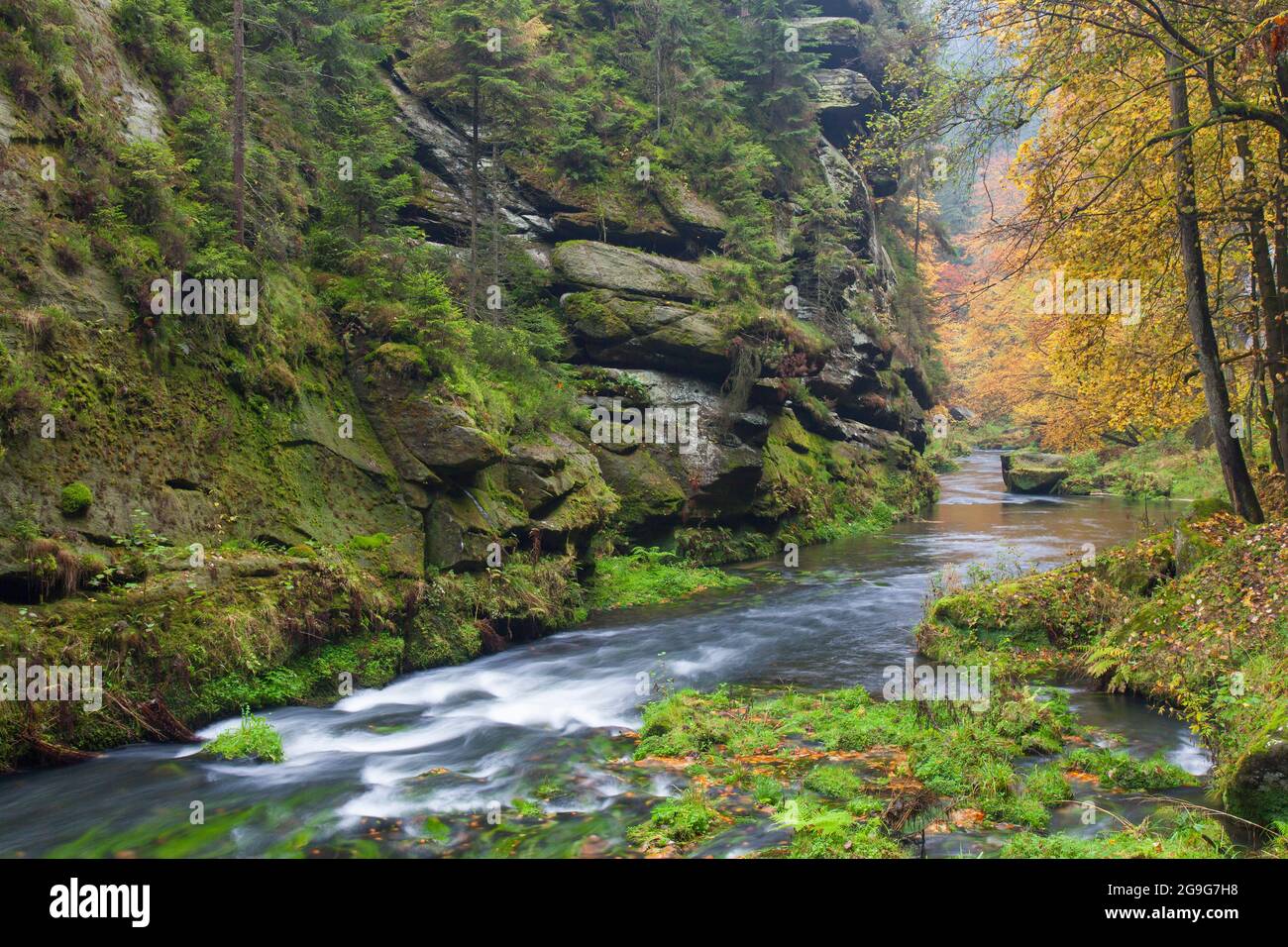 Die Kamnitzschlucht im Herbst, Nationalpark Böhmische Schweiz, Tschechische Republik Stockfoto