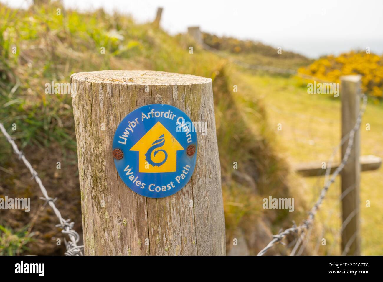Schild mit Hinweis auf den Küstenpfad von Wales an der Bucht von Hell’s Mouth in der Nähe von Abersoch auf der Halbinsel Llyn Stockfoto