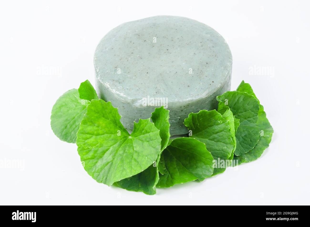 Seife centella asiatice mit frischem Grün Blatt centella auf weißem Hintergrund. Stockfoto