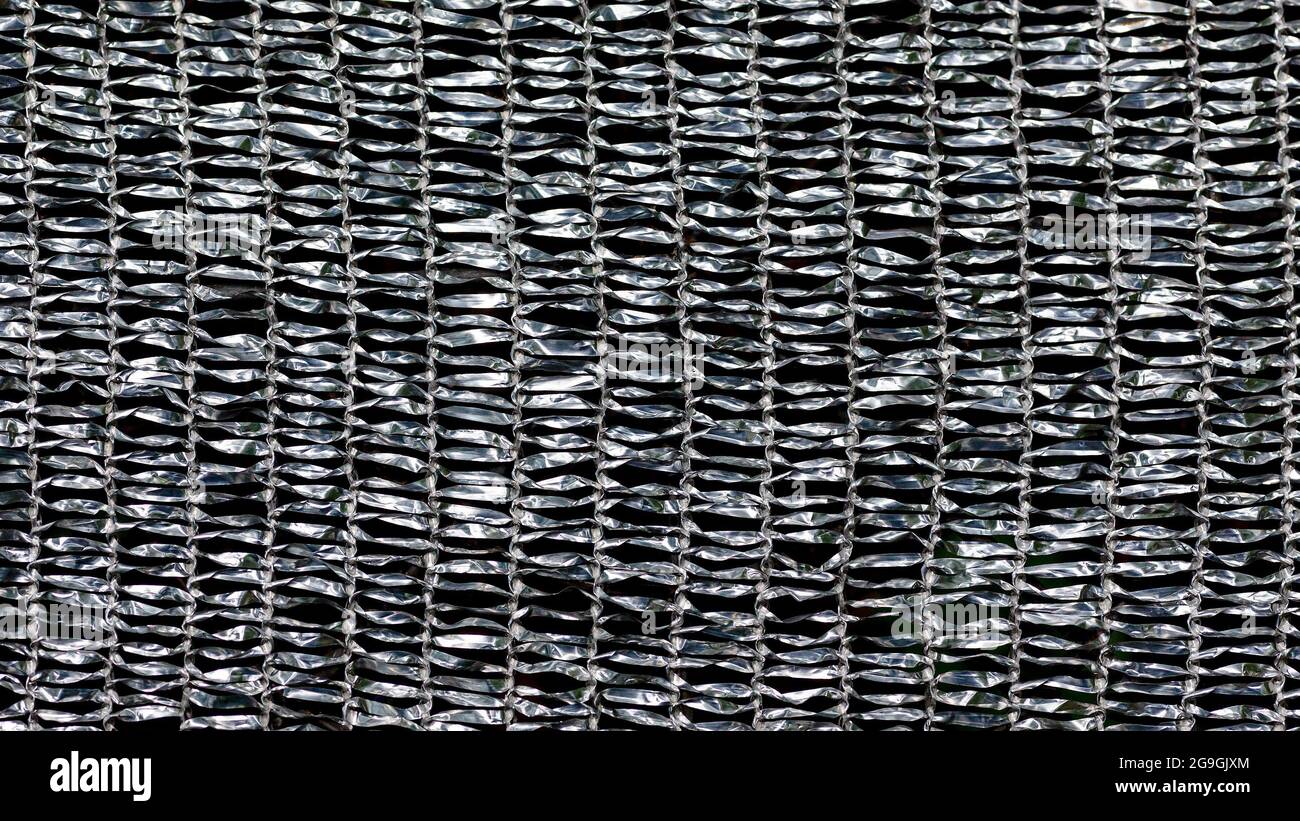Aluminium-Metallfolie Mesh-Netz zum Schutz von Pflanzen in einem Garten Hintergrund verwendet Stockfoto