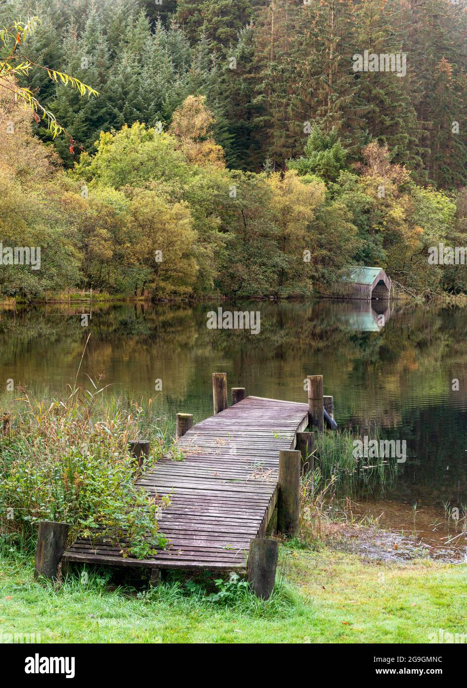 Herbstfarbe hinter dem Bootshaus am Milton Basin am Loch ARD. Stockfoto