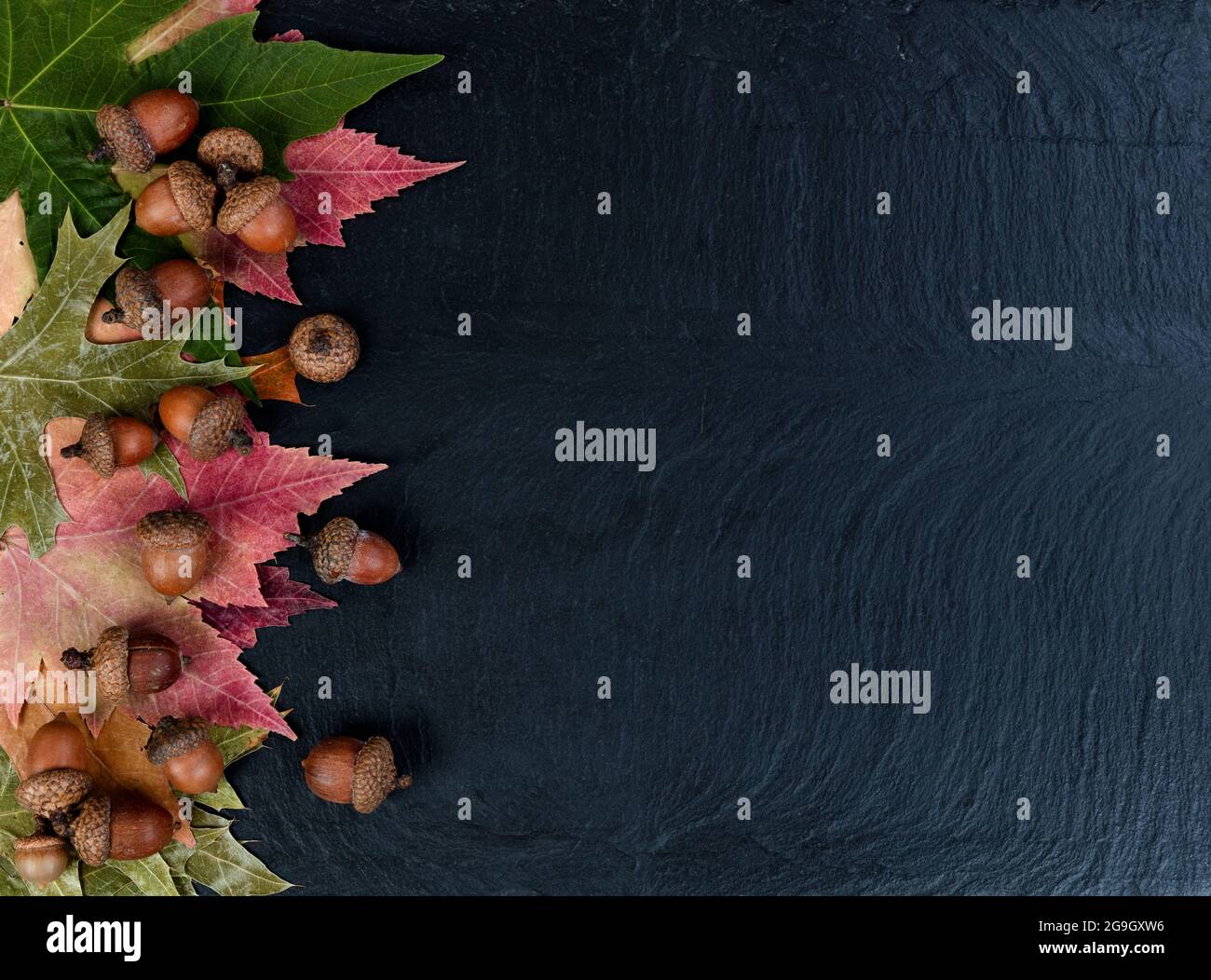 Herbstdekoration mit rustikalen Blättern und Eicheln auf Schieferstein Stockfoto