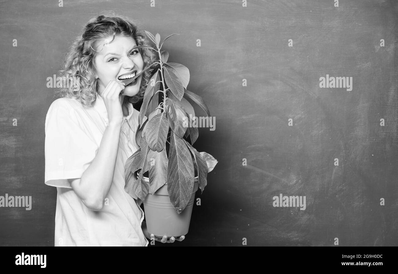 Botanik ist über Pflanzen Blumen und Kräutern. Gute Pflege Pflanzen nehmen. Zimmerpflanzen sind hart genug, um eine Vernachlässigung von ihren Besitzern zu widerstehen. Mädchen Halten Stockfoto