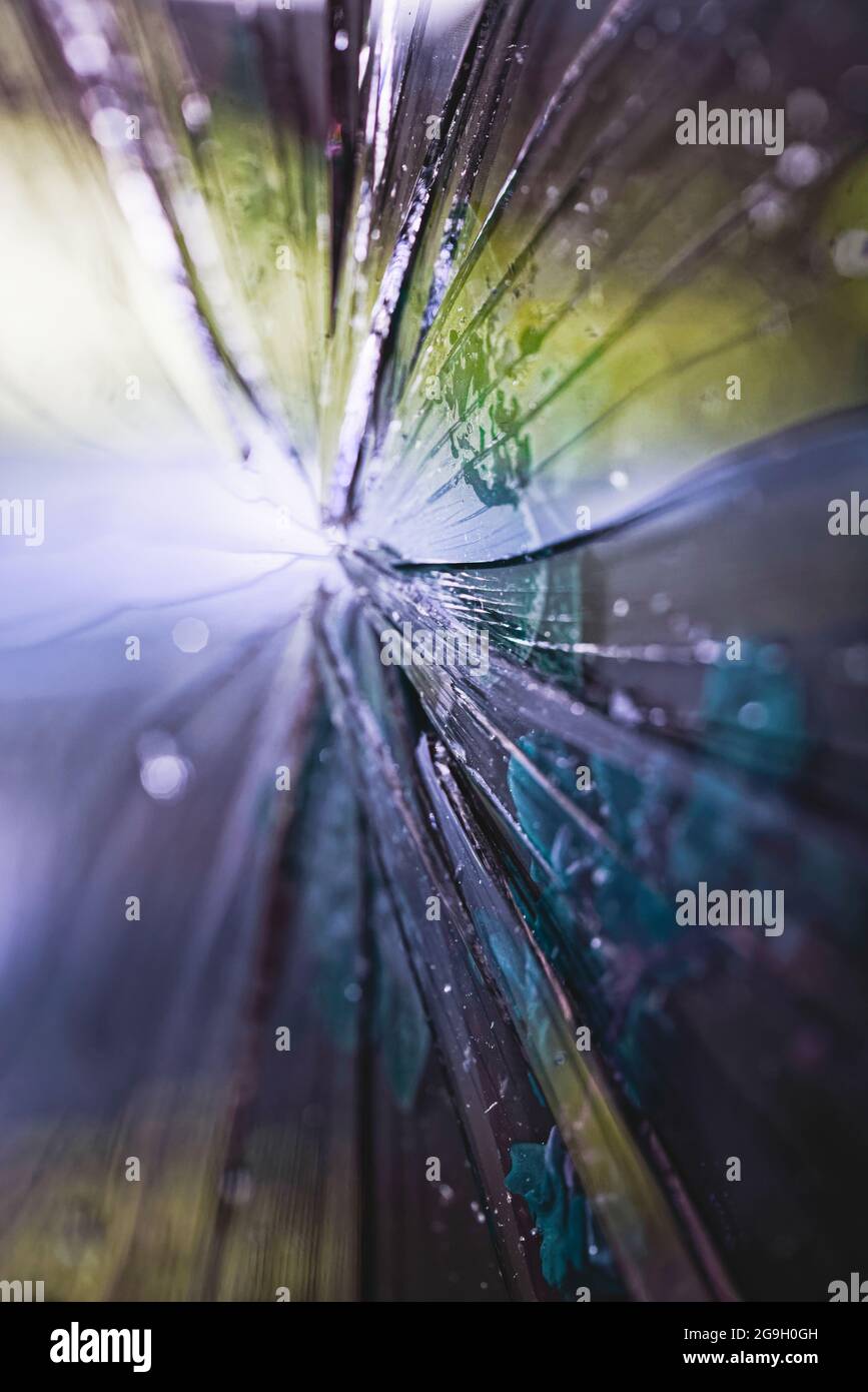 Blütenblätter unter zerbrochenem Glas Stockfoto