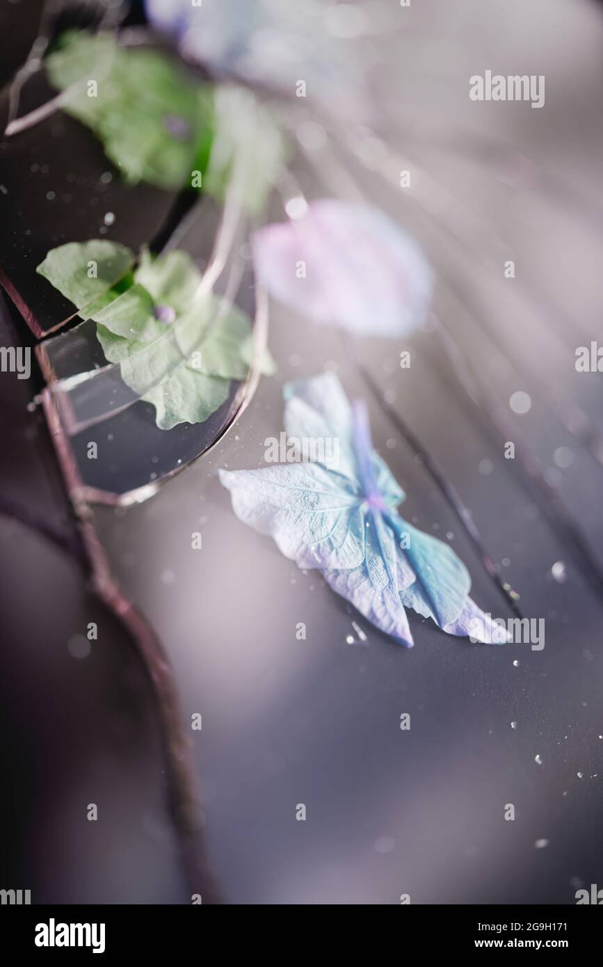 Blütenblätter unter zerbrochenem Glas Stockfoto
