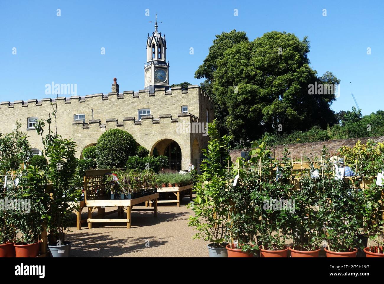 Syon Park, London, Großbritannien Stockfoto