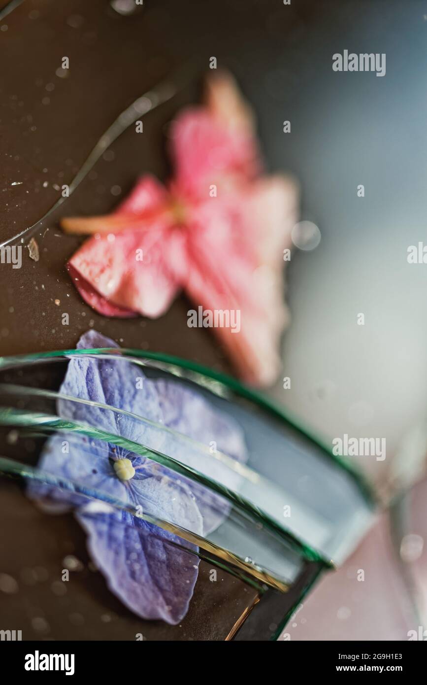 Blütenblätter unter zerbrochenem Glas Stockfoto