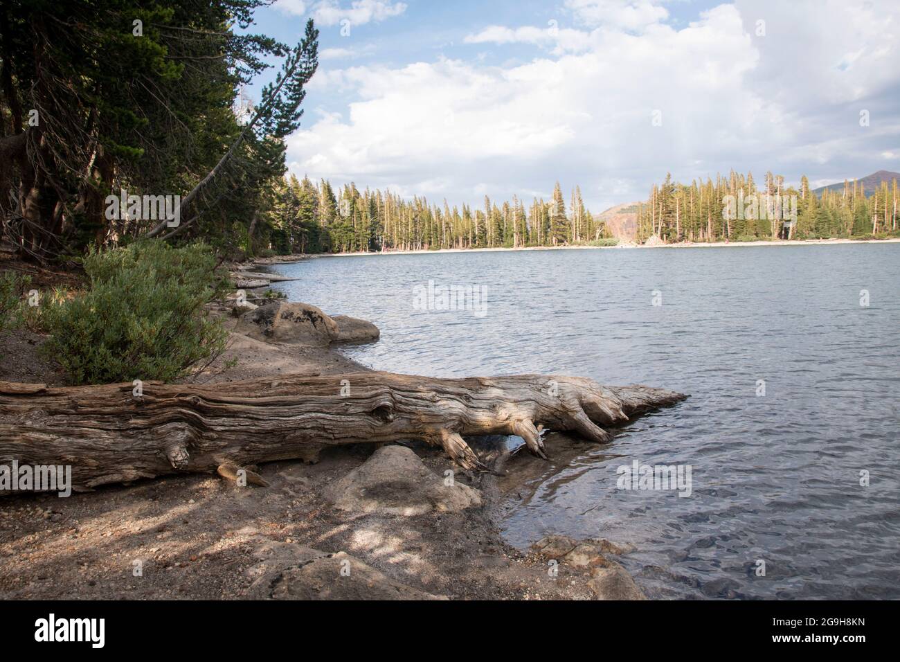 Der McLeod Lake ist einer der vielen Seen rund um die Stadt Mammoth Lakes in Mono County, CA, USA. Stockfoto