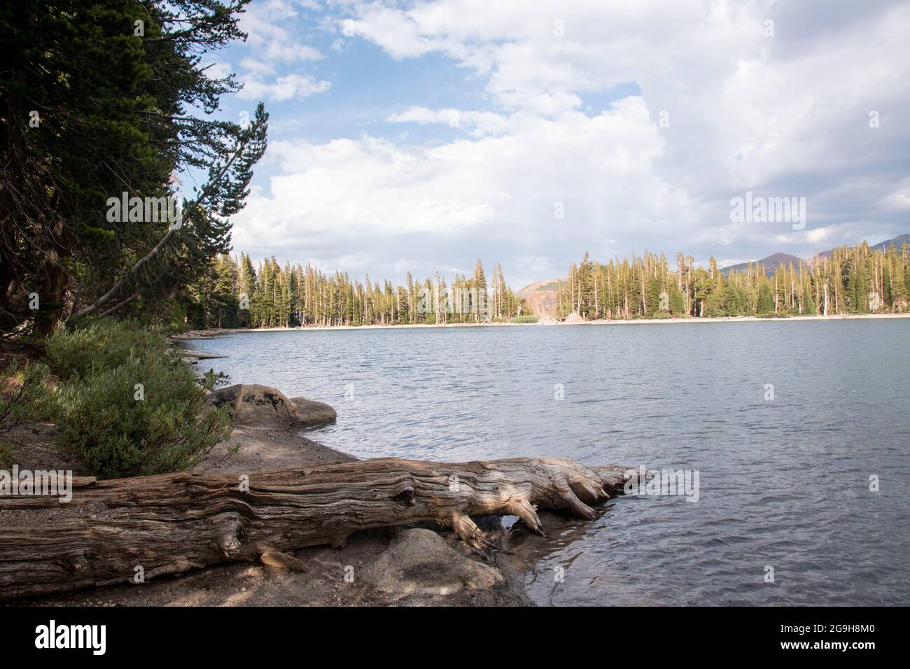 Der McLeod Lake ist einer der vielen Seen rund um die Stadt Mammoth Lakes in Mono County, CA, USA. Stockfoto