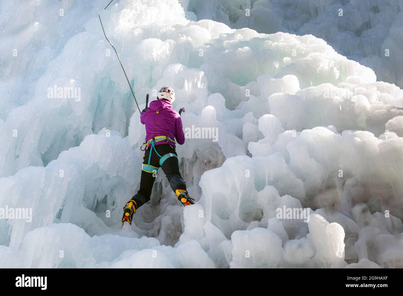 Eiskletterinnen mit Eiskletterausrüstung, Äxten, Helm, Geschirr und Steigeisen, die an einem gefrorenen Wasserfall hängen, Rückansicht Stockfoto