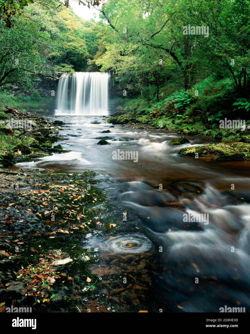 Wasserfall Sgwd Yr Eira, Fluss Hepste, in der Nähe von Ystradfelle, Brecon Beacons National Park, Powys, Wales. Stockfoto
