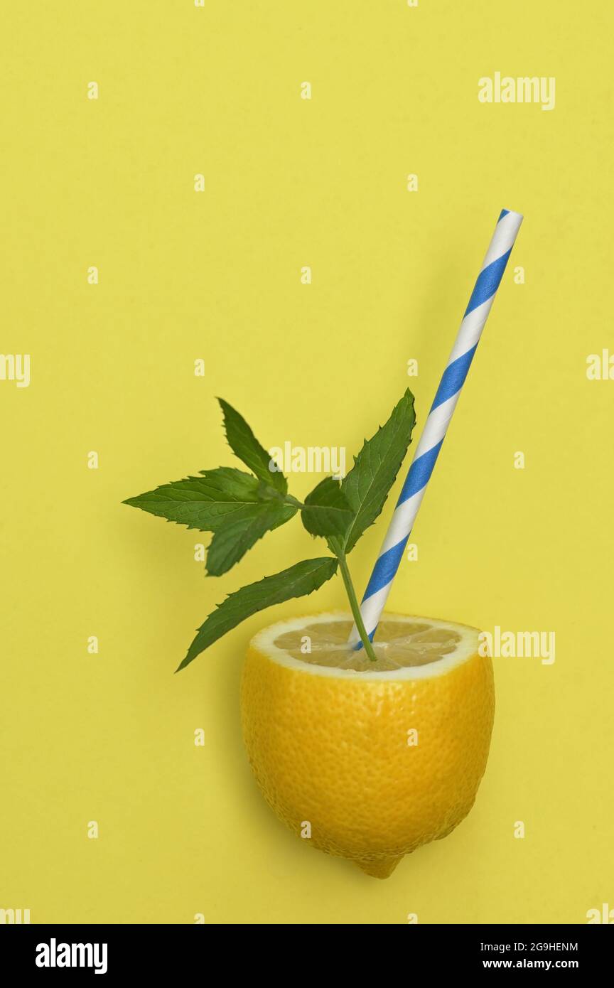 Limonade aus Zitronenfrüchten, Papierstroh und Minzblättern Stockfoto