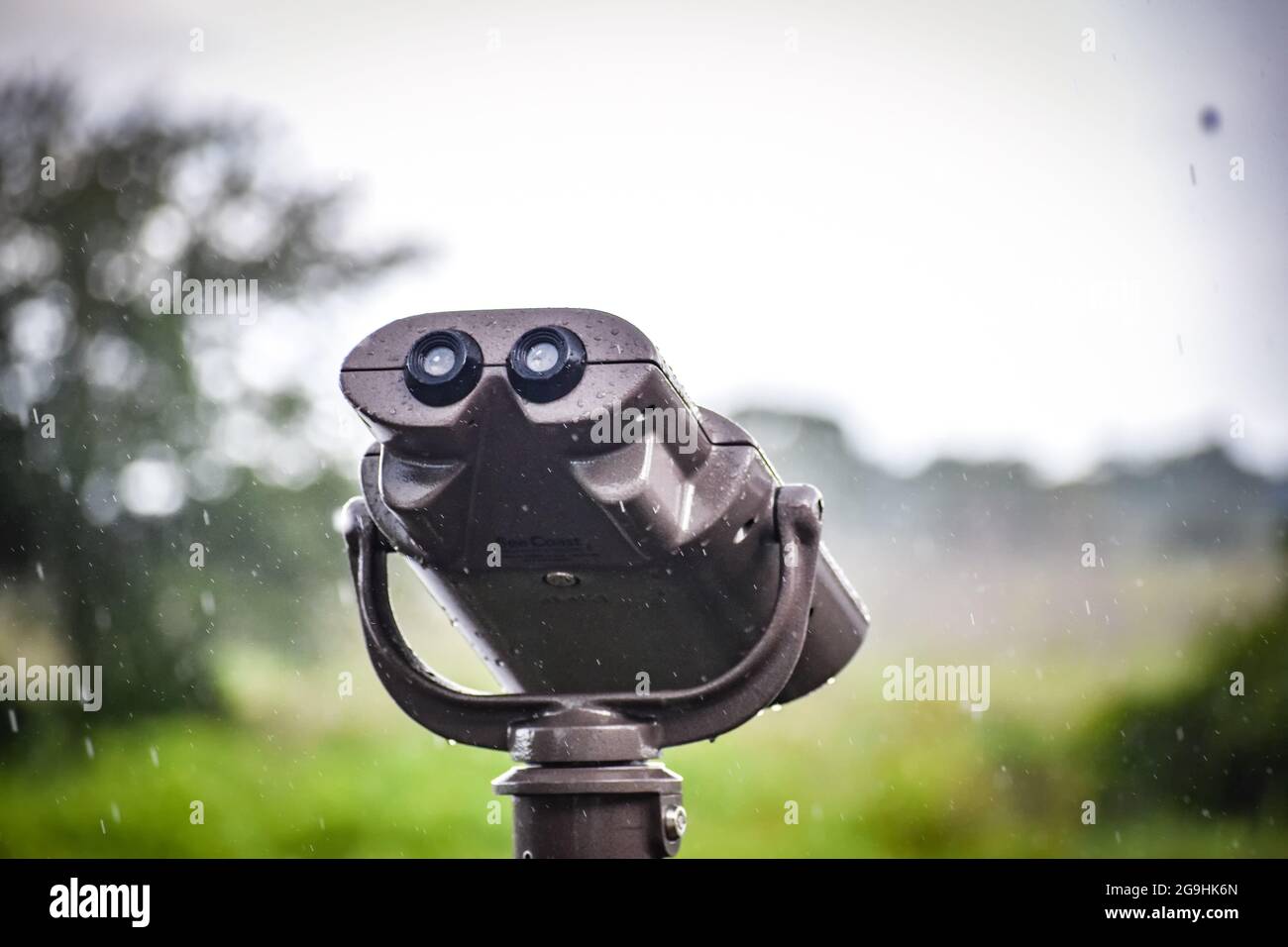 Stationäre Ferngläser im Sucher im Nationalpark an einem regnerischen Tag. Stockfoto