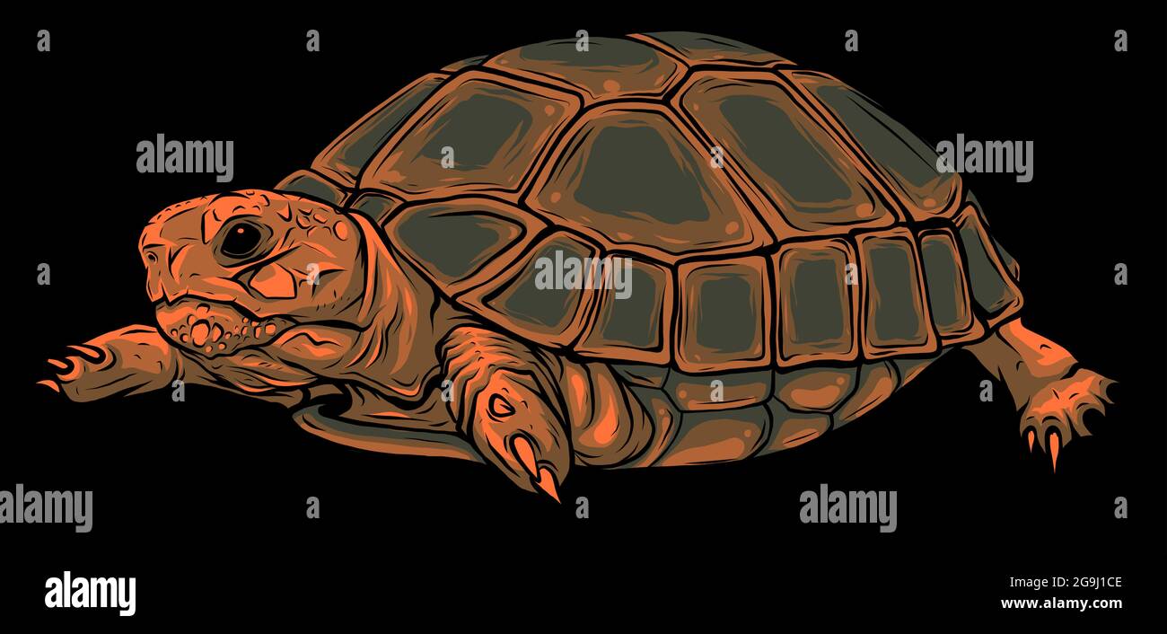 Cartoon-Vektor auf schwarzem Hintergrund Schildkröte. vektor Stock Vektor