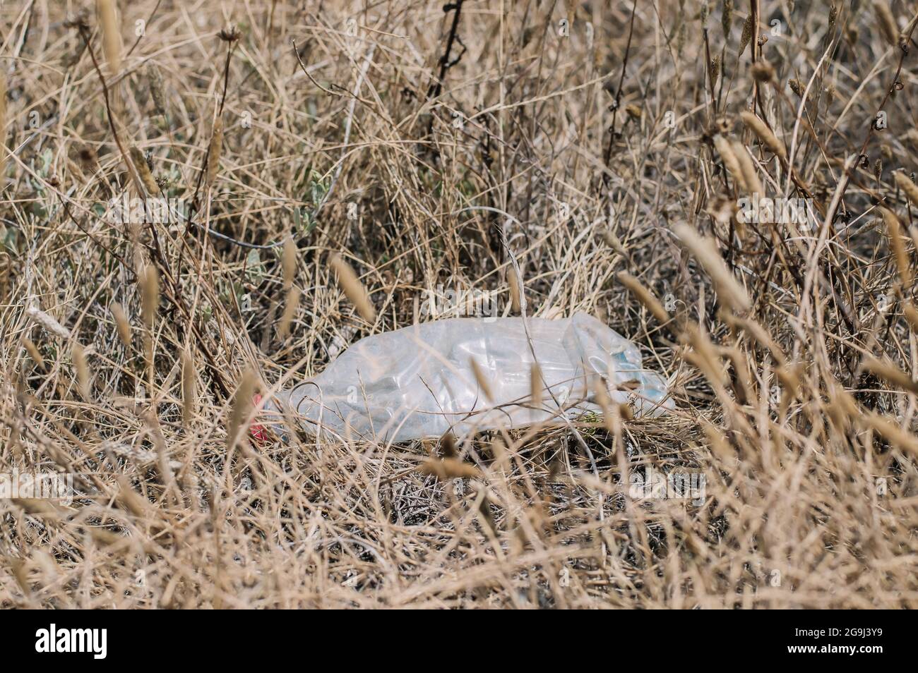 Zerknitterte Plastikflasche auf dem Feld, Umweltverschmutzung Stockfoto