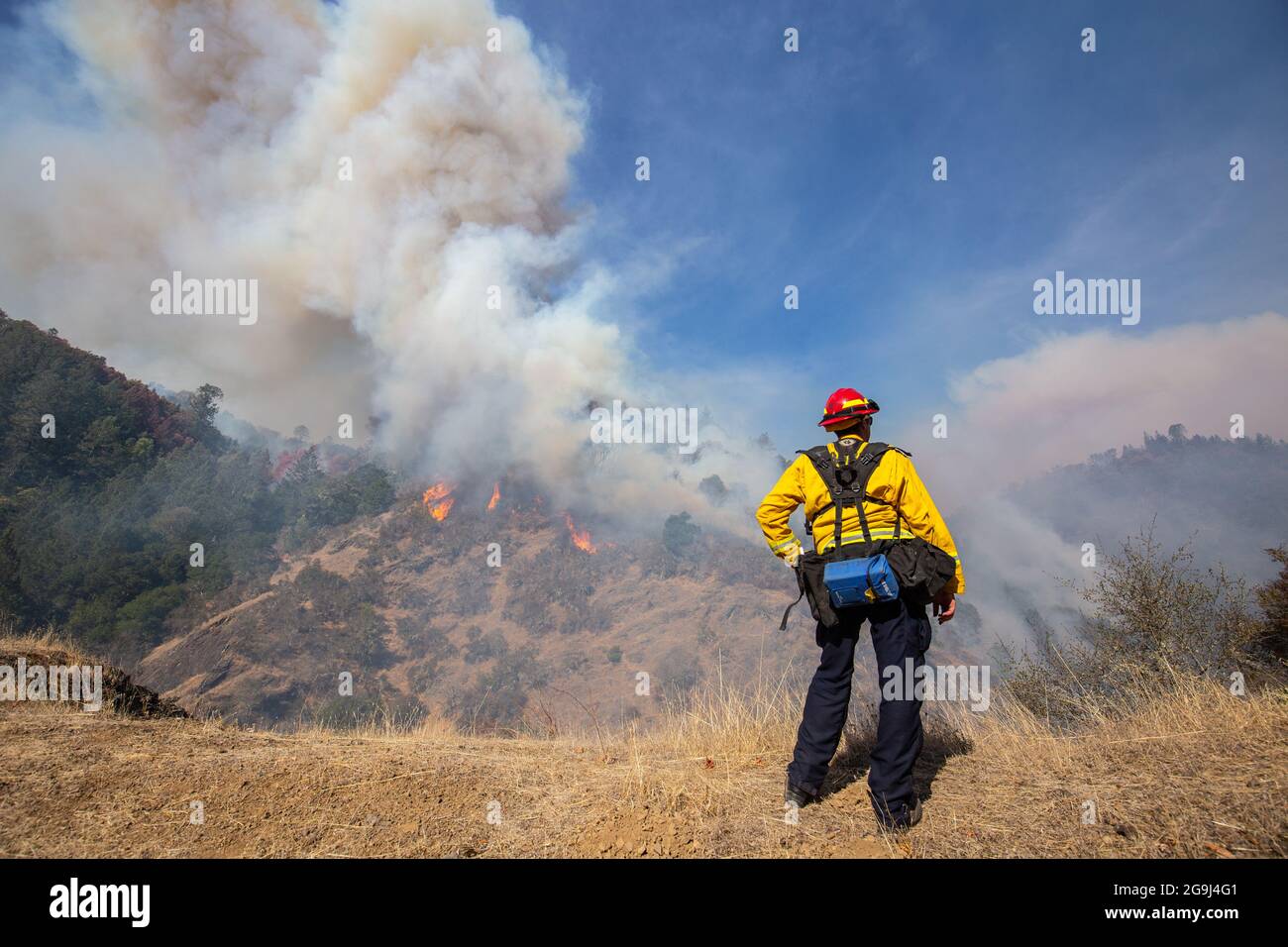 Ein Cal Fire Firefighter beobachtet, wie ein Spotbrand beim Kincade-Feuer in Sonoma County, Kalifornien, am 24. Oktober 2019 größer wird. Stockfoto