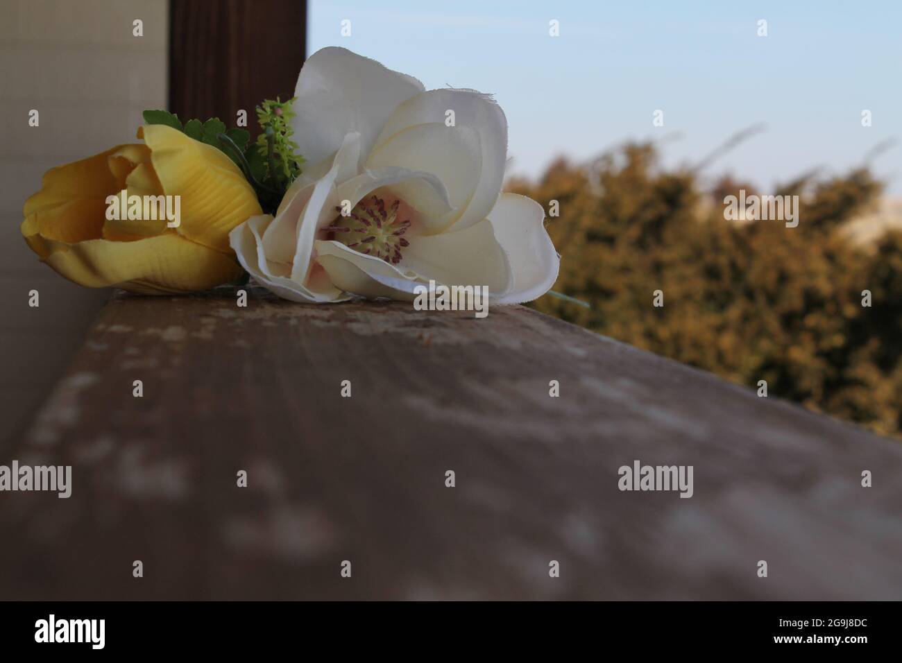 Blumen auf Holzterrasse Stockfoto