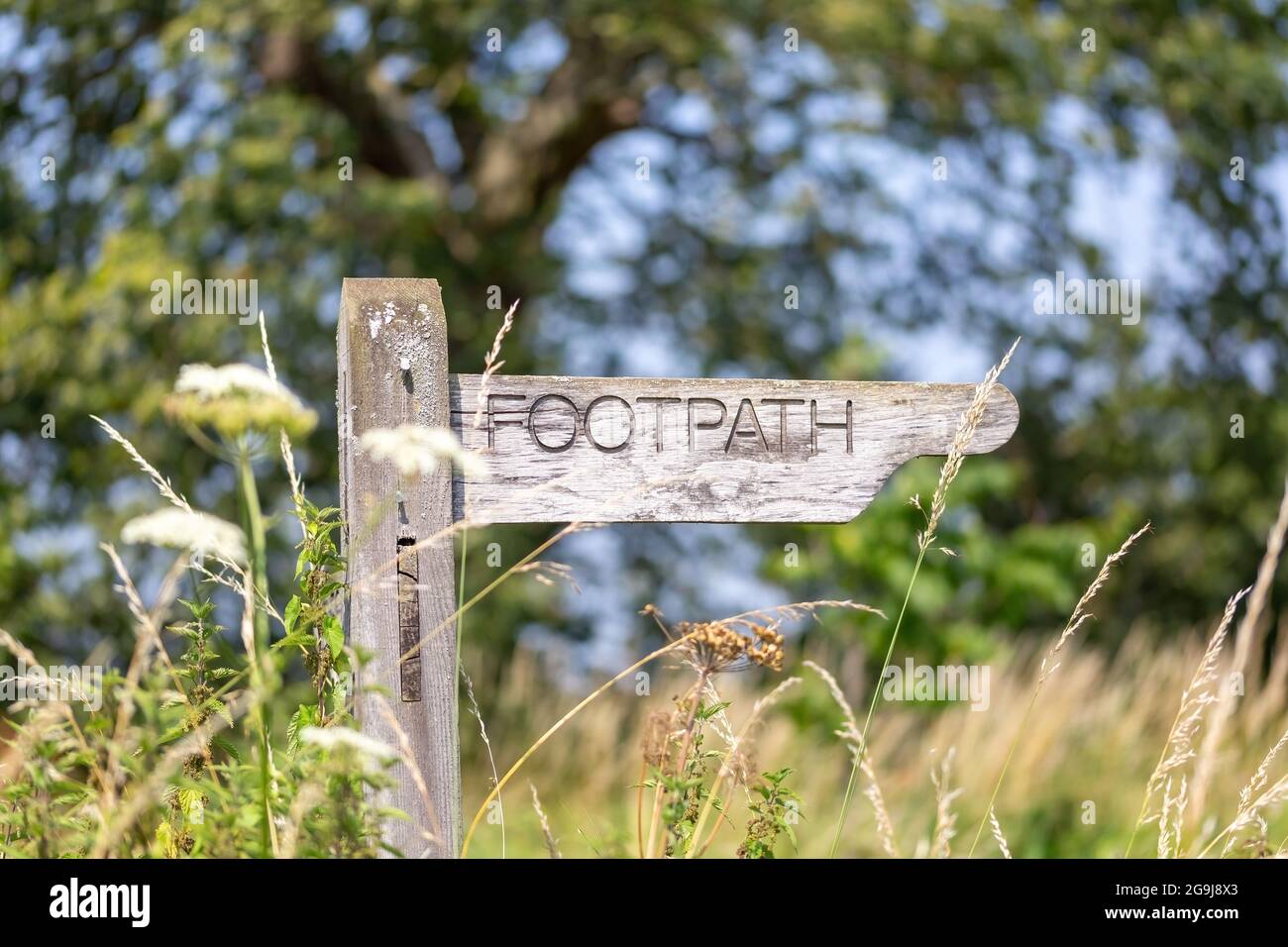 Ein Holzfußweg Schild in der englischen Landschaft Stockfoto