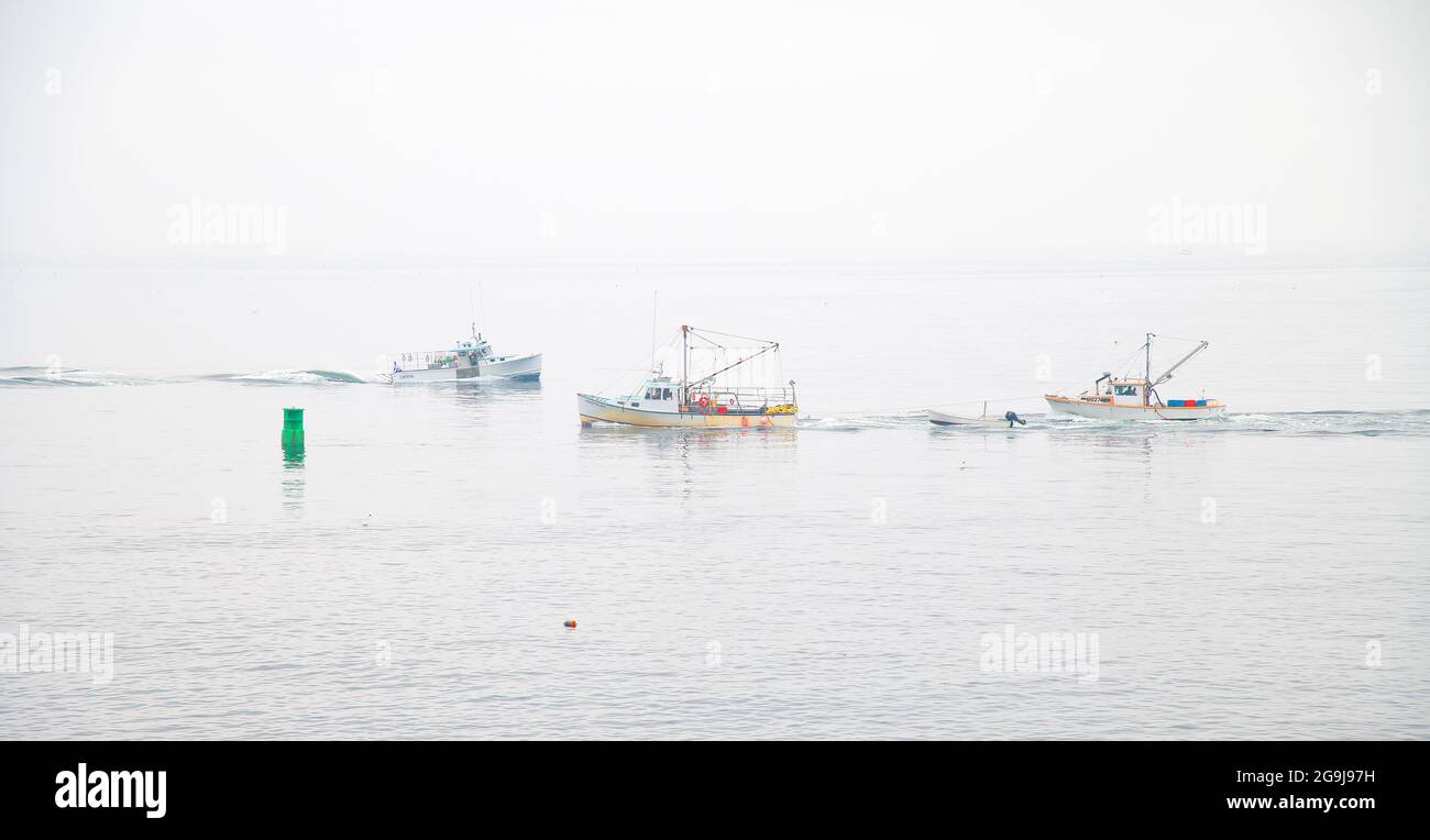 Kommerzielle Hummerboote fahren an einem nebligen Morgen vor der Küste von Owls Head, Maine, USA Stockfoto