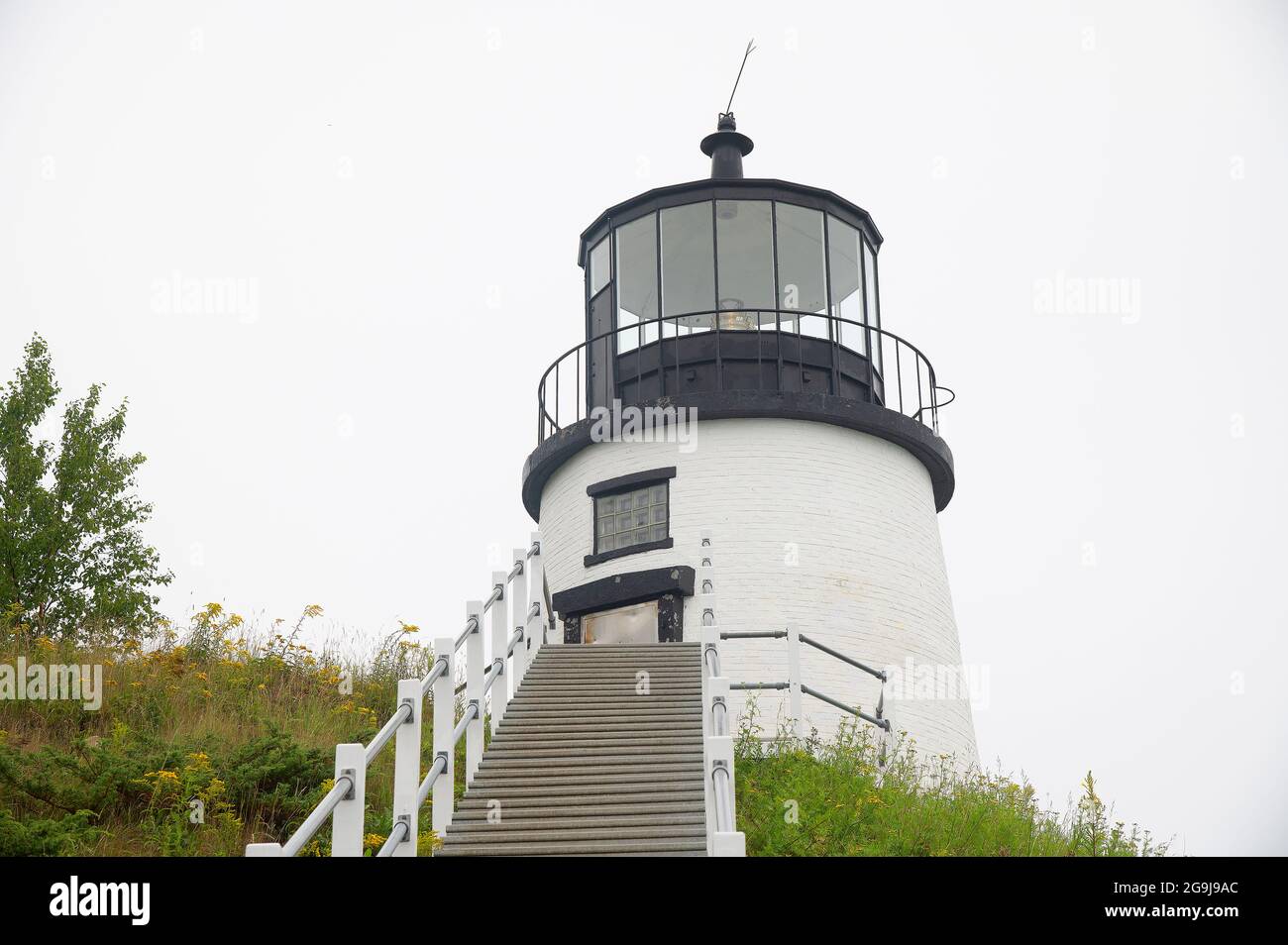 Eulen-Kopflicht (1825 - heutiger Turm 1856) an einem nebligen Morgen in Eulen-Kopflicht, Maine, USA Stockfoto