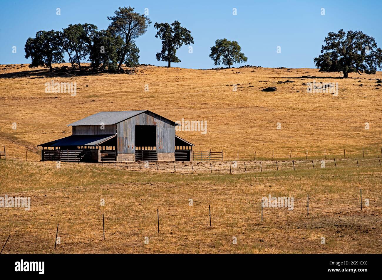 Amador County Golden Landscape, Kalifornien Stockfoto