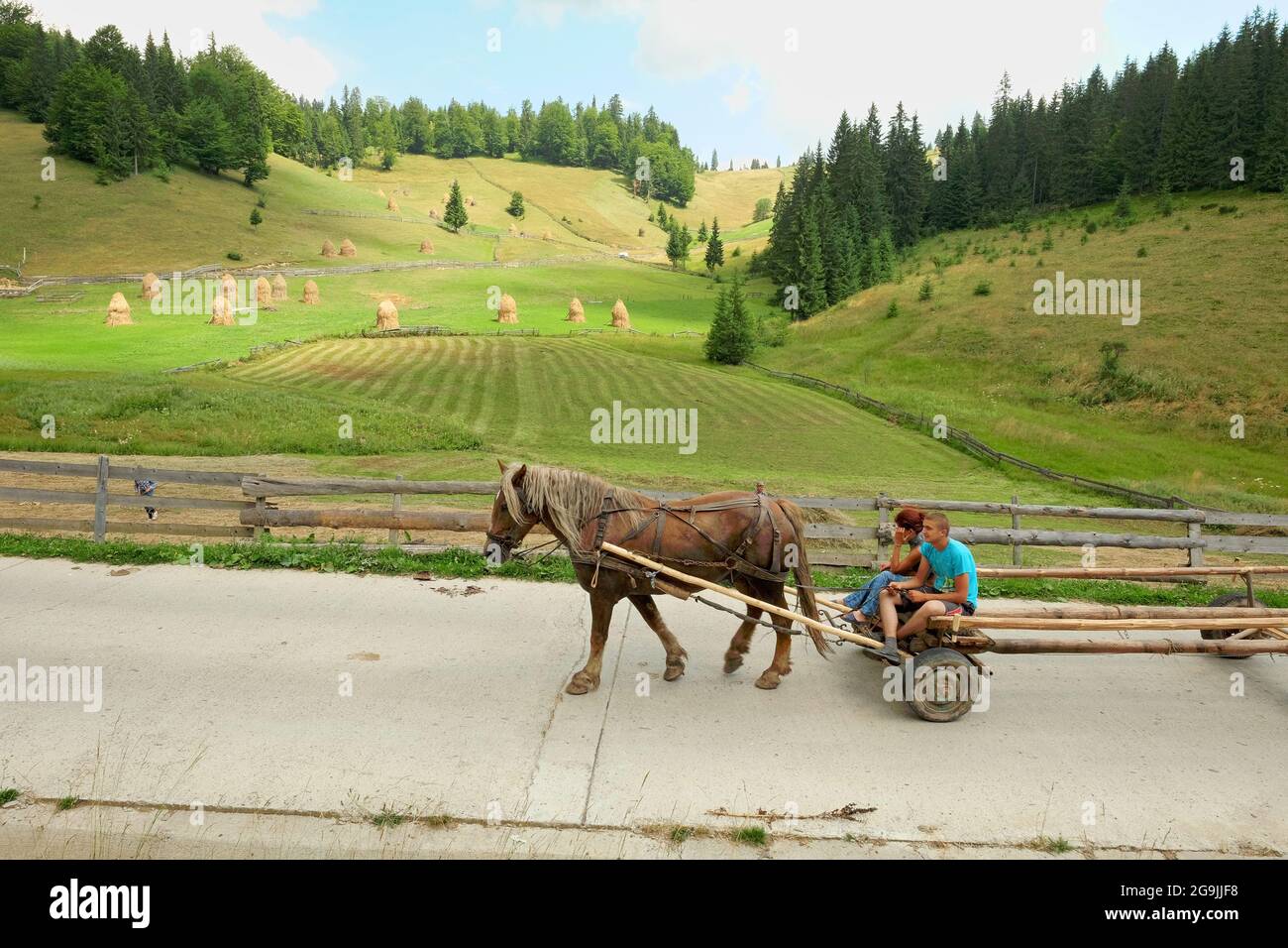 GARDA DE SUS, RUMÄNIEN - 04. AUGUST 2015: Ein junges Paar, das auf einer Landstraße im Apuseni-Gebirge auf einem von einem Pferd gezogenen Wagen reitet Stockfoto